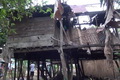 Perbaiki rumah warga, Pemkab Boyolali kucurkan Rp5 M