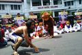 Hiburan topeng monyet warnai Hari Primata di Malang
