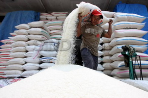 Ini kejanggalan impor beras Vietnam versi BPK