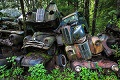 Hutan Swedia ini jadi kuburan 1.000 mobil kuno