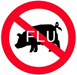 44 orang meninggal akibat flu babi di Mesir