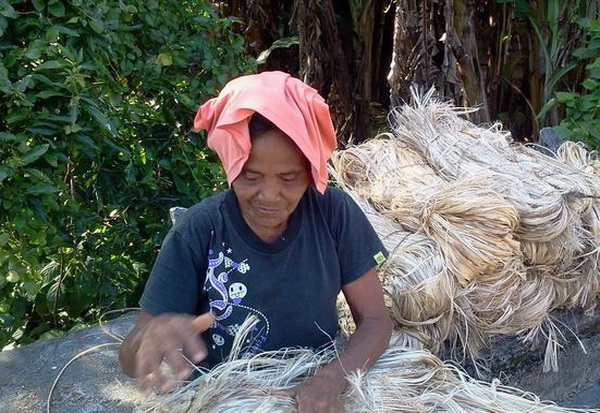 Petani Manado jual bahan baku dollar ke Filipina
