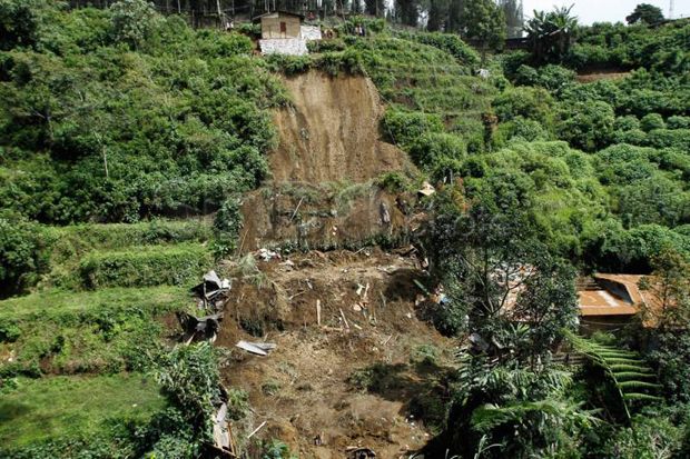 11 tewas tertimbun longsor di Kota Jayapura