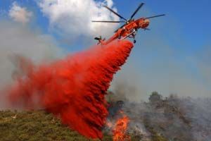 Polisi masih periksa 26 orang pembakar lahan di Riau