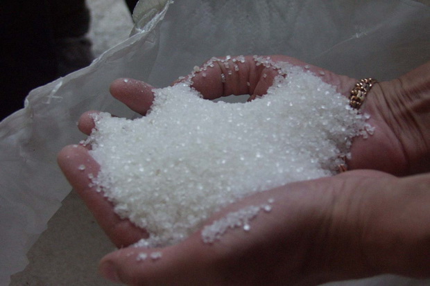 DGI usulkan HPP gula Rp9.500/kg