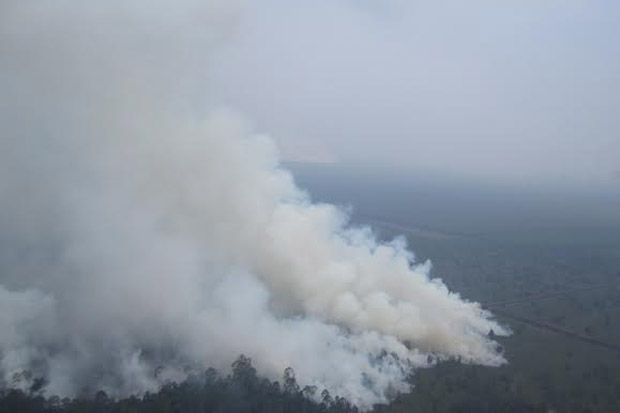 Titik api mulai muncul lagi di Riau