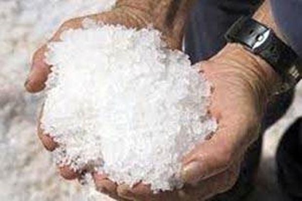 Pemerintah moratorium impor garam