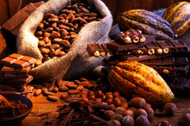 Pembebasan bea masuk kakao bunuh petani lokal