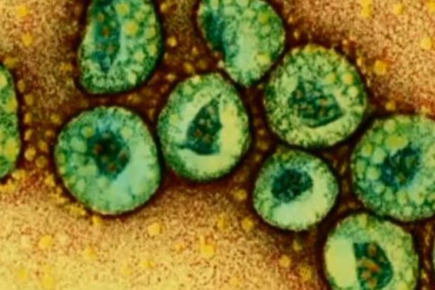 Virus MERS mewabah di Arab Saudi