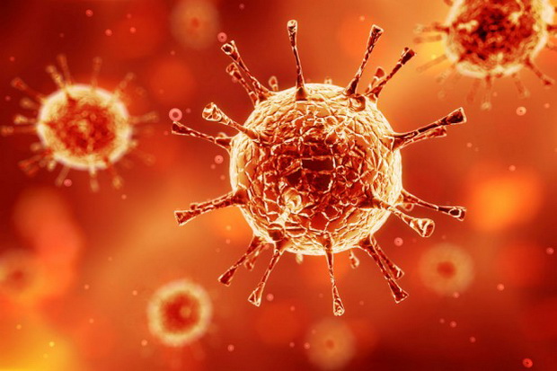 1 TKI di Arab Saudi tewas terkena virus MERS