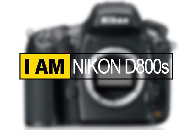 Nikon Segera Rilis Kamera D800S