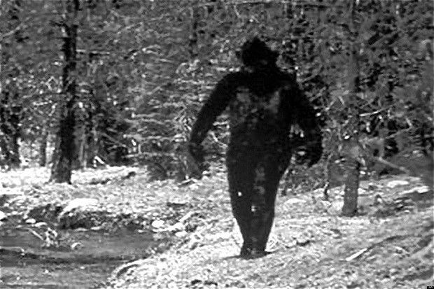 Bigfoot Tertangkap Kamera di Norwegia
