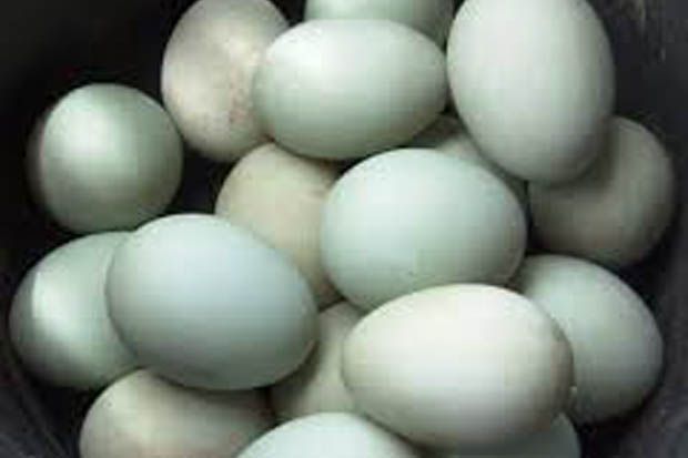 Produsen Kue di Garut Pakai Telur Berbelatung