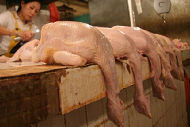 Pedagang Ayam di Bandung 40% Gulung Tikar