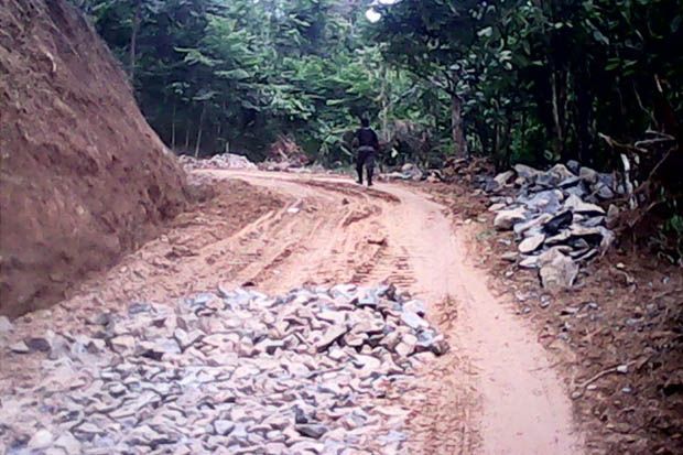 Pembabatan Hutan Lindung di Garut Libatkan Pemerintah Desa