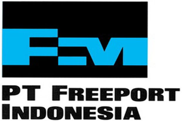Sepak Terjang Bisnis Tambang Freeport di Indonesia