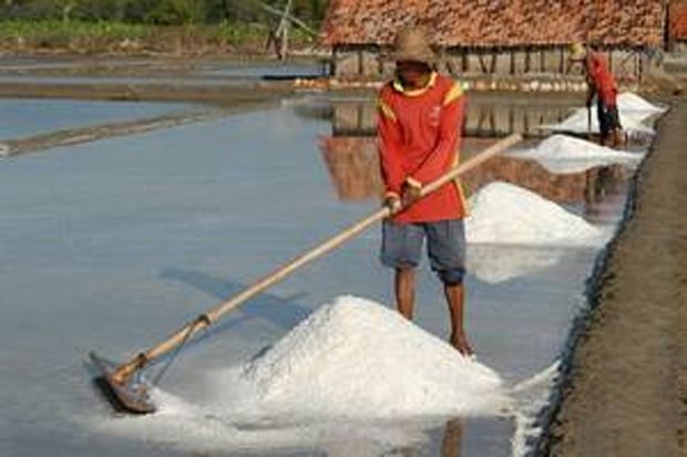 Produksi Garam di Bali Menurun
