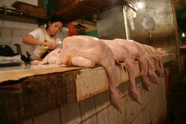 Harga Daging Ayam Mengakak Naik Jelang Ramadan