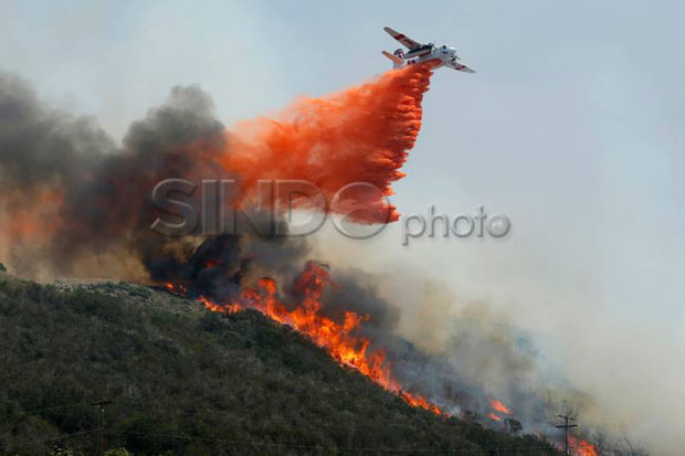 Pemerintah Siap Atasi Kebakaran Hutan Akibat El Nino 2014