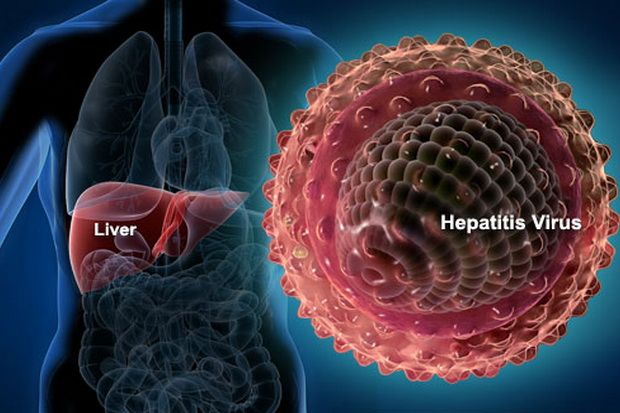 28 Juta Jiwa di Indonesia Menderita Hepatitis B dan C