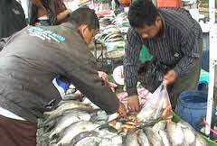 Ratusan Pedagang Lempari Rumah Wakil Bupati Bone Ikan Busuk