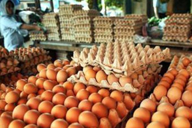 Harga Telur Ayam Melonjak di Kulonprogo