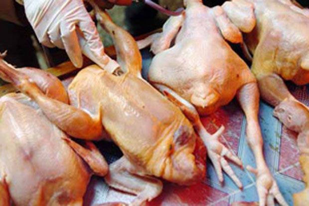 8 Kg Ayam Tiren Ditemukan di Pasar Kembangsari