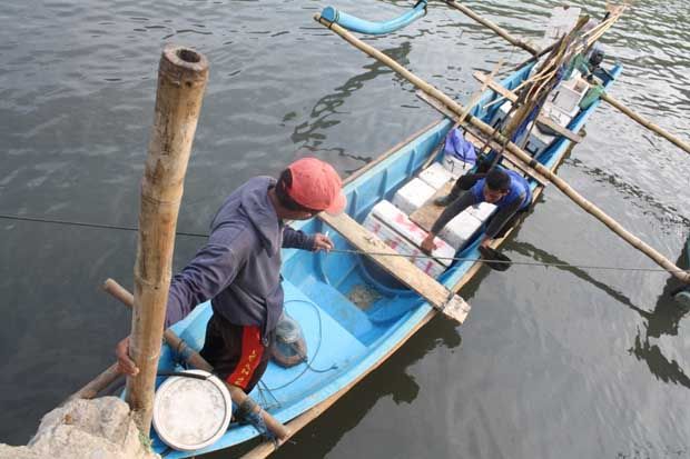 Cuaca Buruk, Nelayan Asal Sultra Tertahan di Sinjai