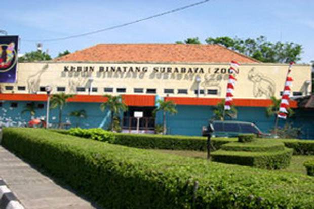 Anggota DPRD Surabaya Setuju Harga Tiket KBS Rp25 Ribu