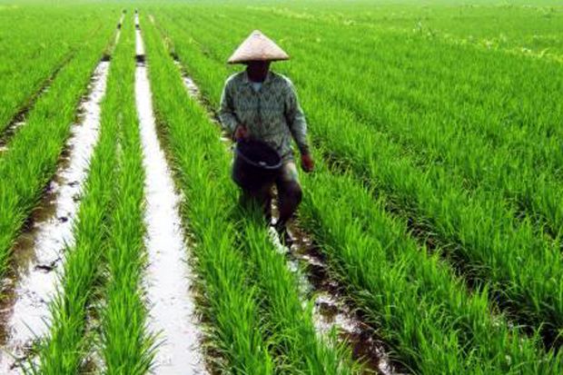 Indonesia Harus Lakukan Modernisasi Pertanian