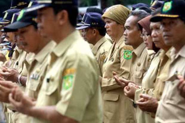 Kementerian PAN Usulkan Model Pemerintahan Ideal ke Jokowi