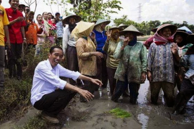Jokowi Diminta Perhatikan Kesejahteraan Penyuluh Pertanian
