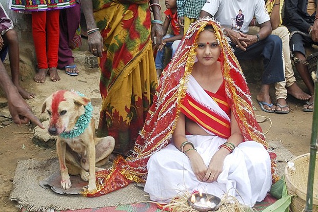 Heboh, Gadis Cantik India Menikah dengan Anjing