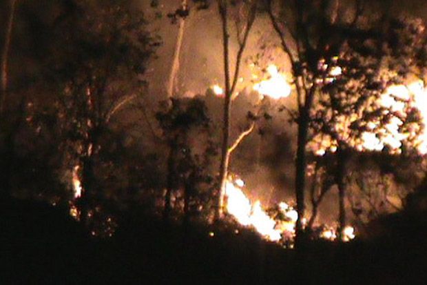 Sepekan, Ratusan Hektare Hutan Arjuno-Welirang Terbakar