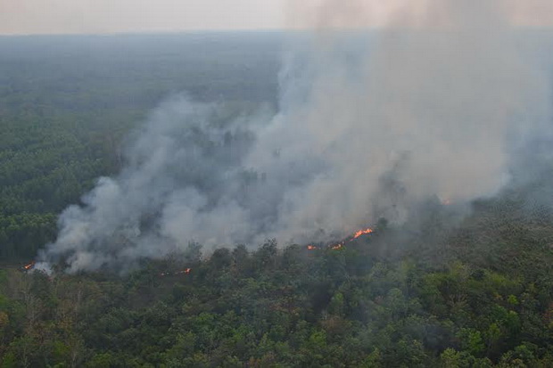 Kabut Asap Mengkhawatirkan, PMI Riau Bagikan Ribuan Masker