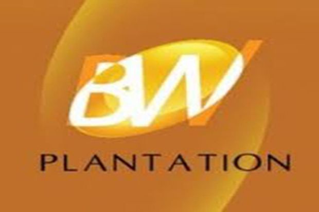 BEI Suspensi Saham BW Plantation