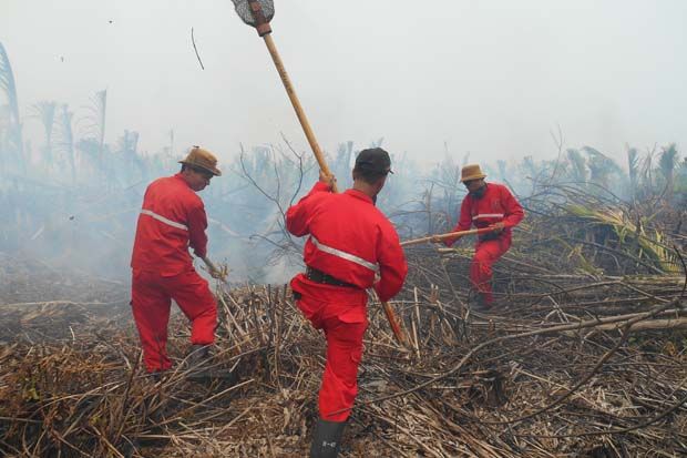 Riau Pinjamkan 2 Heli untuk Padamkan Hotspot di Sumsel
