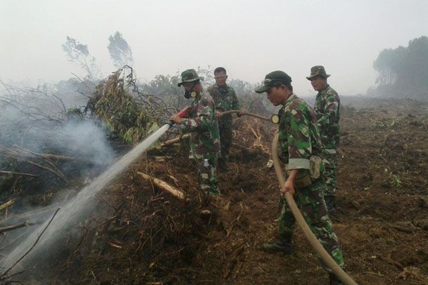 TNI Turun Tangan Padamkan Kebakaran Hutan di Sumsel