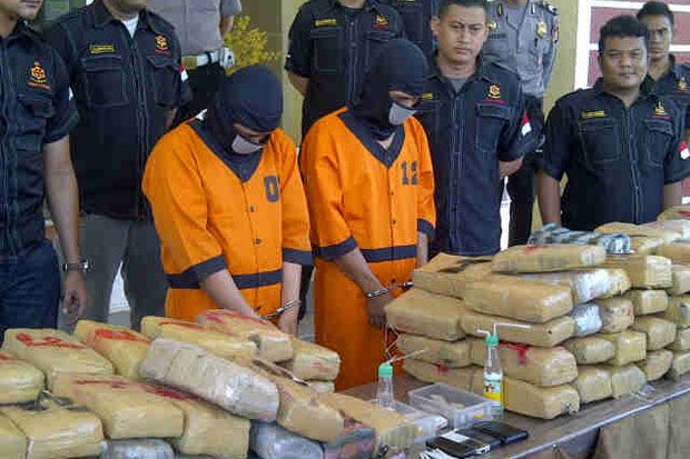 19 Kg Ganja Disita Polresta Denpasar