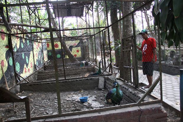 DPRD Kota Blitar Tolak Penutupan Kebun Binatang Mini