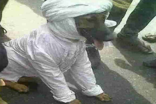 Beredar Foto Anjing Berjubah, Ulama Malaysia Marah