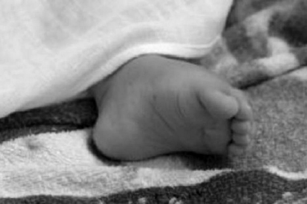 Bayi Kembar Siam Tewas Terpanggang di Box Inkubator