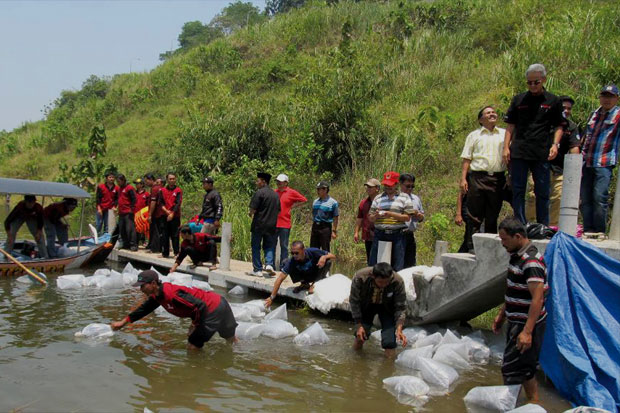 12.000 Bibit Ikan Disebar ke Waduk Jatibarang