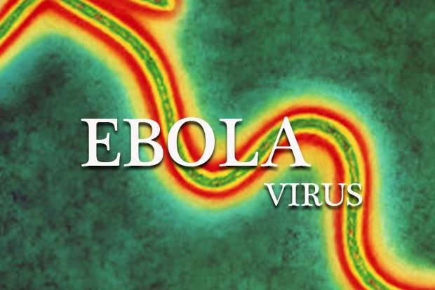 Dua Sampel Darah Pasien Suspect Ebola Dinyatakan Negatif