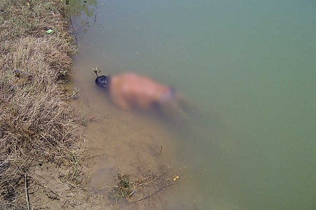 Pria Bersarung Ditemukan Mengambang di Sungai