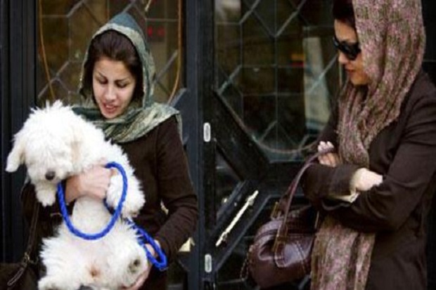 Di Iran, Memiliki atau Menjual Anjing Diancam Hukuman Cambuk