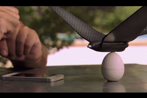 Drone Unik Bionic Bird Dikendalikan dengan iPhone