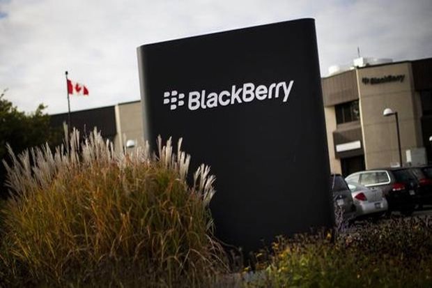 Dosa Blackberry pada Pasar Indonesia