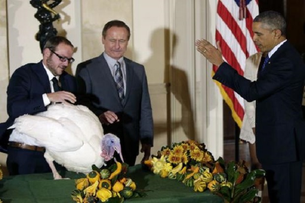 Obama Ampuni Dua Kalkun dari Ritual Thanksgiving