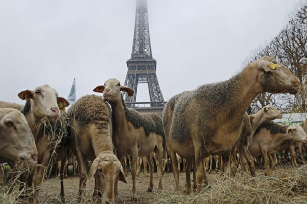 Ketika Domba-domba Demo di Menara Eiffel